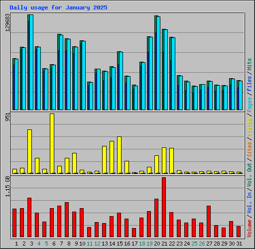 Daily usage for January 2025
