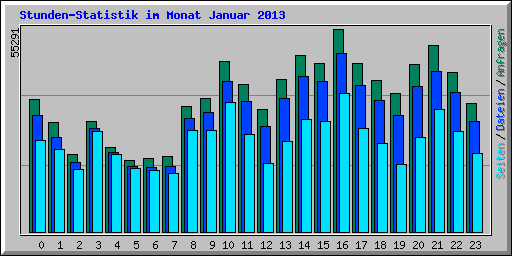 Stunden-Statistik im Monat Januar 2013