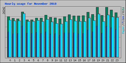 Hourly usage for November 2018