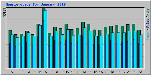 Hourly usage for January 2019