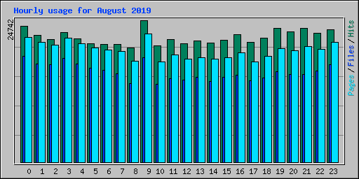 Hourly usage for August 2019