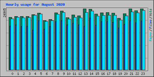 Hourly usage for August 2020