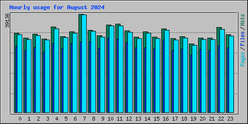 Hourly usage for August 2024