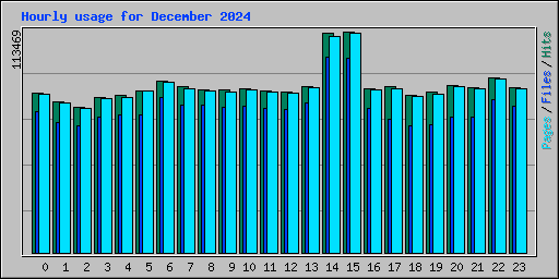 Hourly usage for December 2024