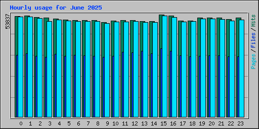Hourly usage for June 2025