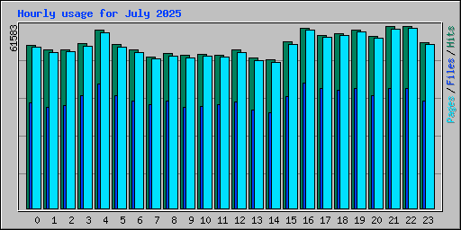 Hourly usage for July 2025
