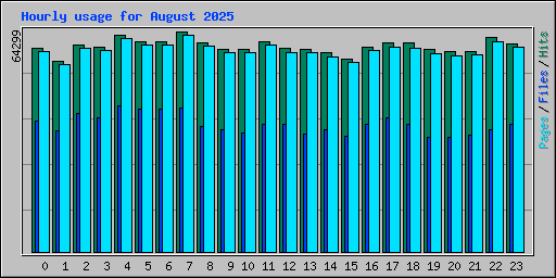 Hourly usage for August 2025