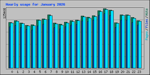 Hourly usage for January 2026