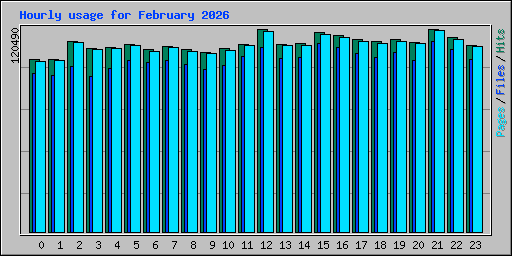 Hourly usage for February 2026