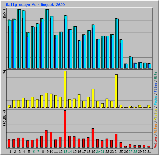 Daily usage for August 2022