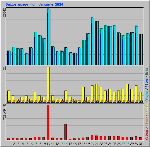 Daily usage for January 2024