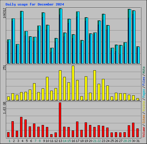 Daily usage for December 2024