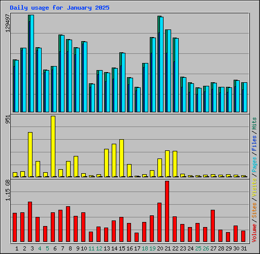 Daily usage for January 2025