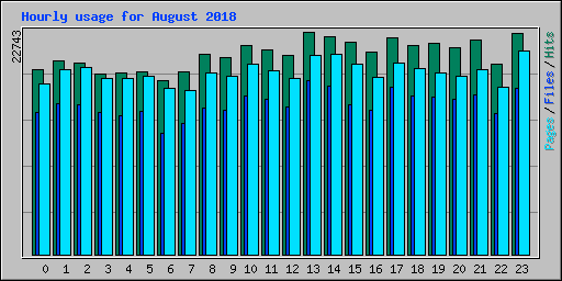 Hourly usage for August 2018