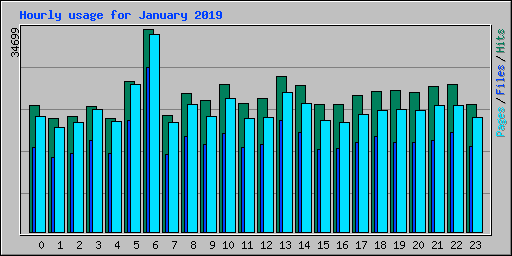Hourly usage for January 2019