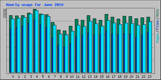 Hourly usage for June 2019