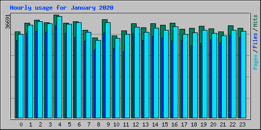 Hourly usage for January 2020