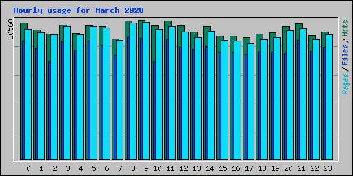 Hourly usage for March 2020