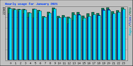 Hourly usage for January 2021