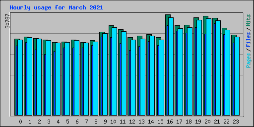 Hourly usage for March 2021