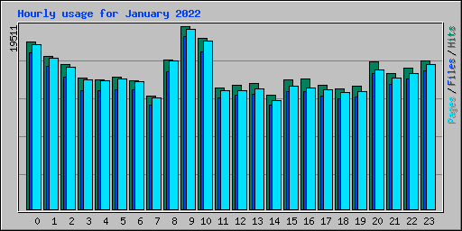 Hourly usage for January 2022