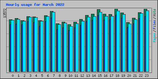 Hourly usage for March 2022