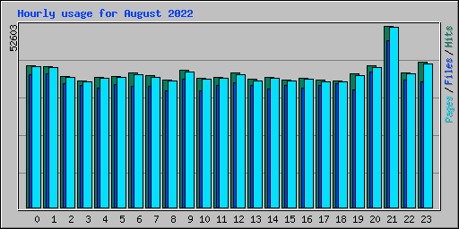 Hourly usage for August 2022