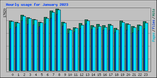 Hourly usage for January 2023