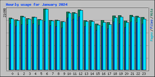 Hourly usage for January 2024