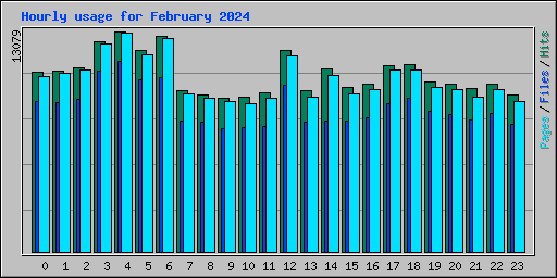 Hourly usage for February 2024