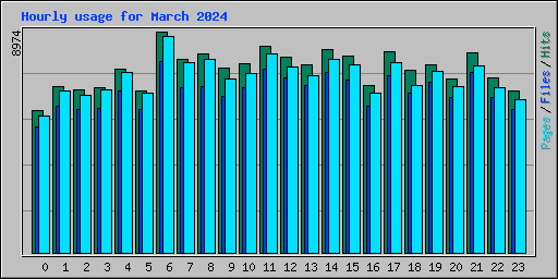 Hourly usage for March 2024