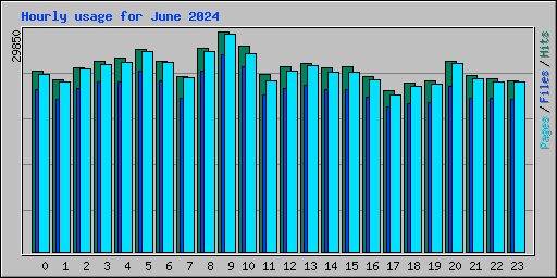 Hourly usage for June 2024