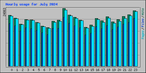 Hourly usage for July 2024