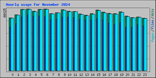 Hourly usage for November 2024