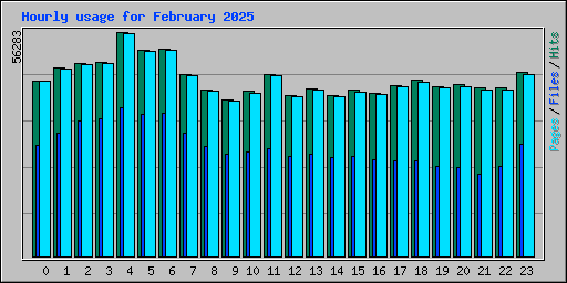 Hourly usage for February 2025