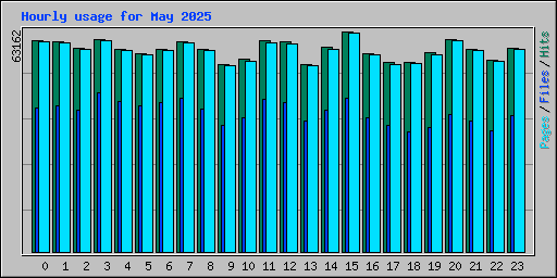 Hourly usage for May 2025