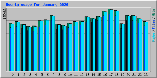Hourly usage for January 2026