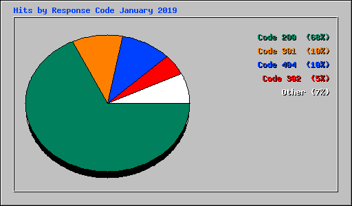 Hits by Response Code January 2019